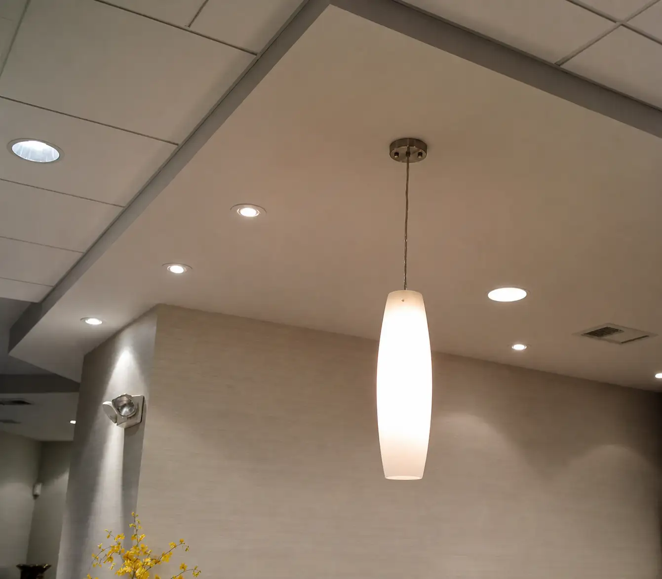 Office — Pendant ceiling
