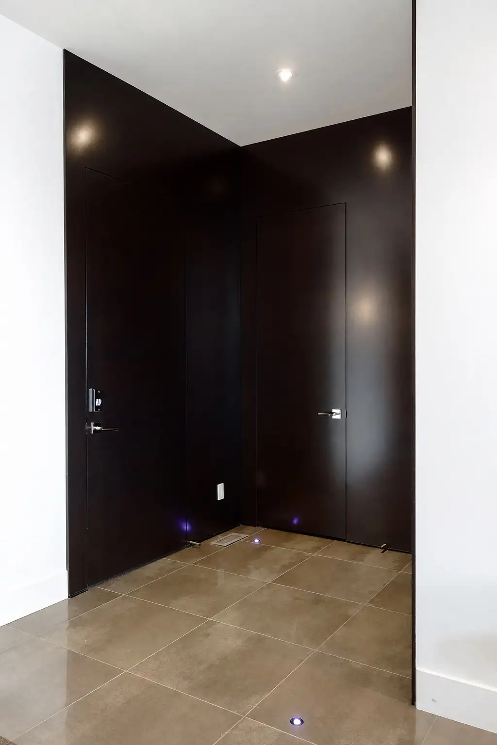 Windsor — Dark foyer doors
